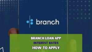 Branch loan app