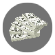 Money icon